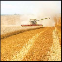 tractor plowing field