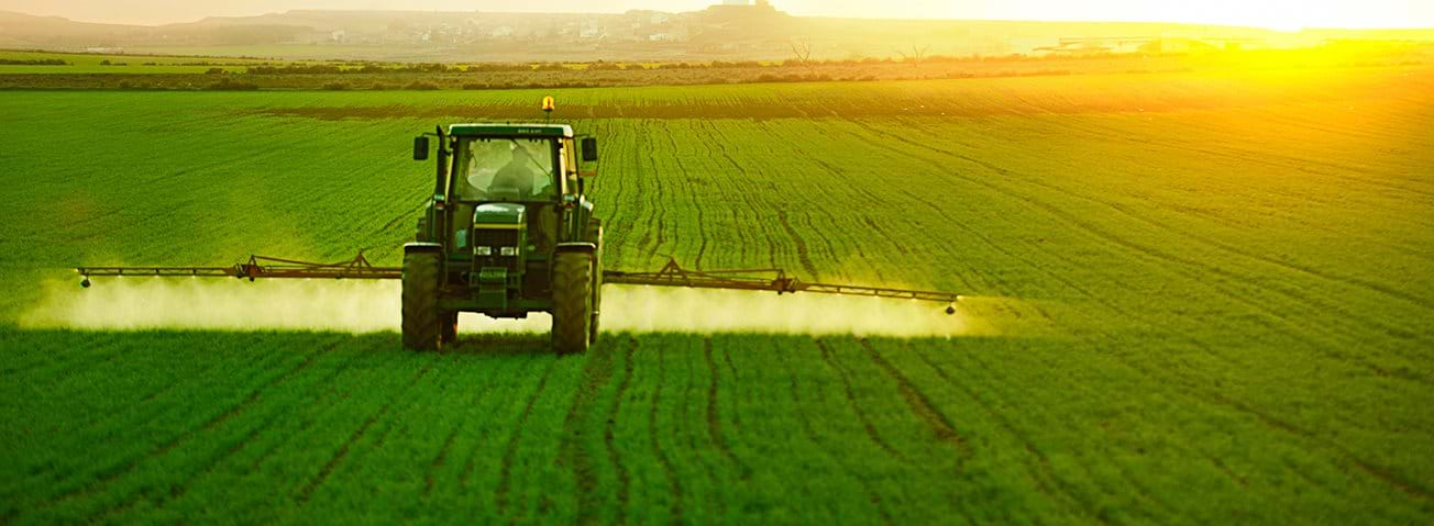 Tractor spraying a field of wheat.