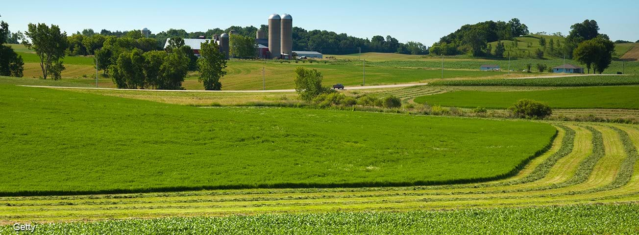 Rural farm 