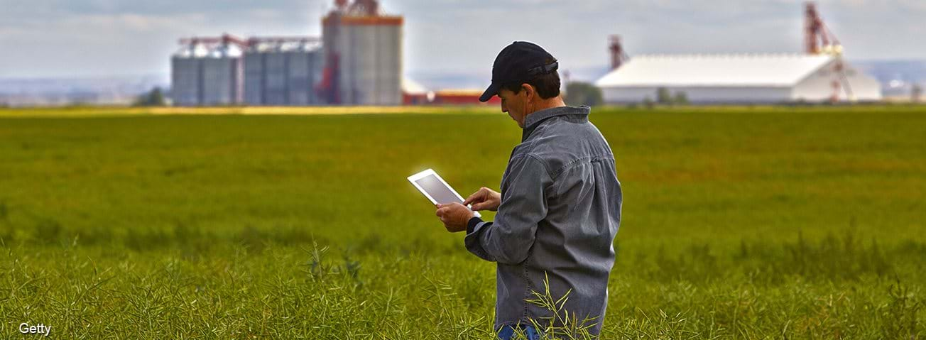 Farmer using tablet while monitoring his crop