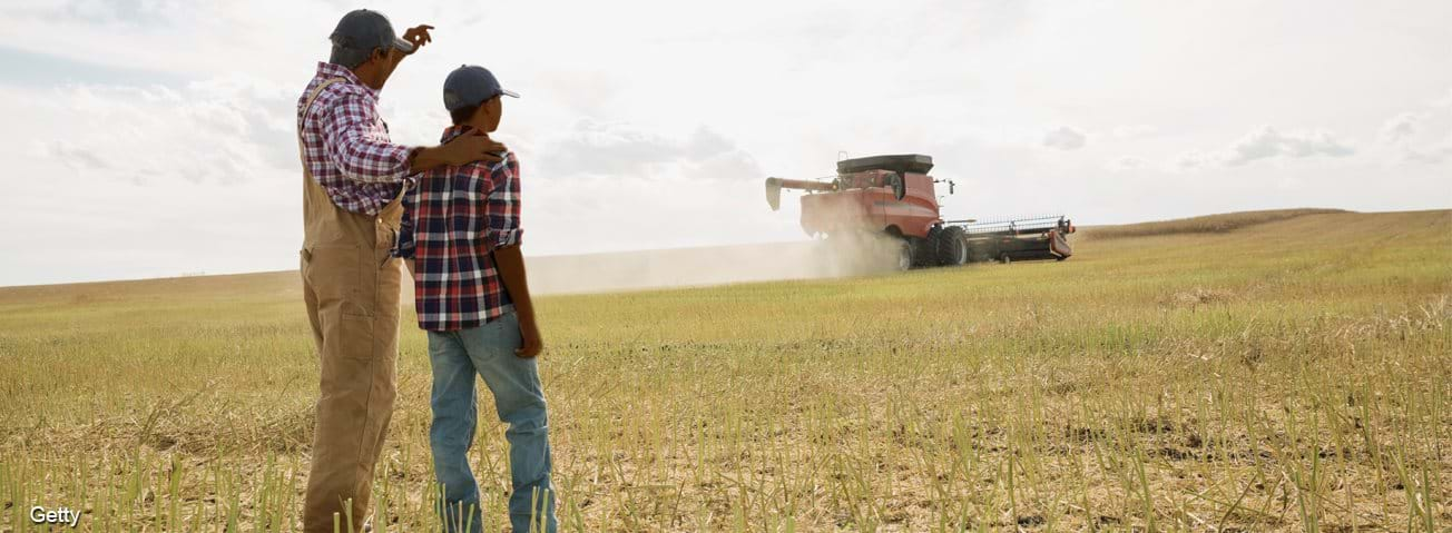 Father and son watching combine harvester in field