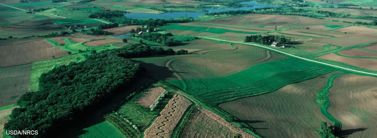 Prairie grasses and woodland plantings furnish wildlife habitat in Shelby County, Iowa