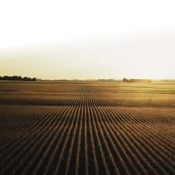 Cover image of Absent Landlords in Agriculture A Statistical Analysis