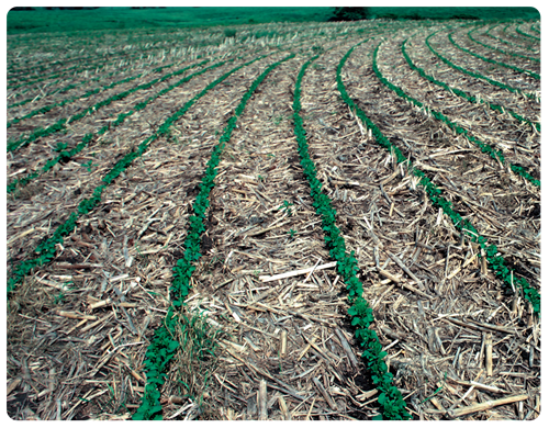 No-till crop residue