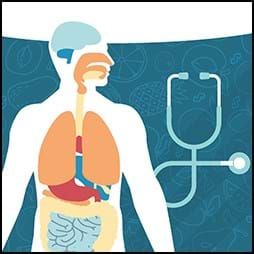 graphic of inside human body and stethoscope