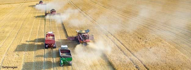 Combines and tractors working on the wheat field 