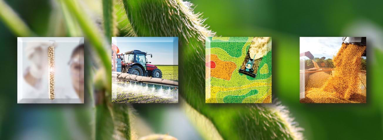 Closeup of soybean, with squares showing seeds in test tube, tractor, field aerial, seeds being processed