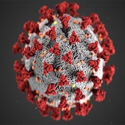 Image of COVID-19 virus