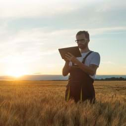 Cover image of Farm Labor, Human Capital, and Agricultural Productivity in the United States