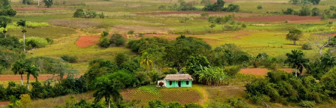 A small turquoise farm sits in the middle ground and the foreground and background are agricultural fields with scattered trees. 