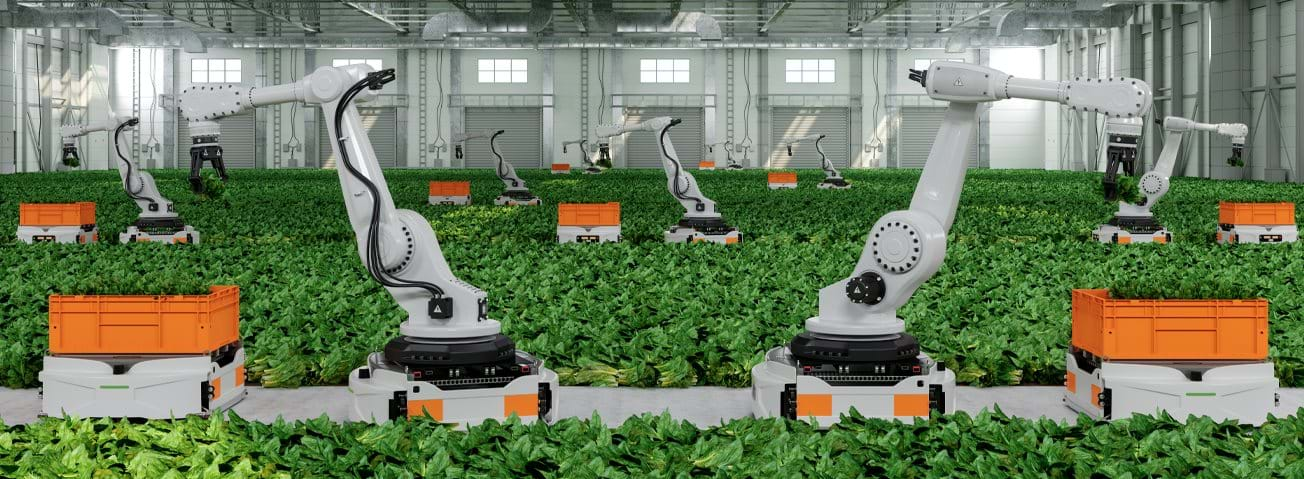 Photo of indoor crop being tended with automatic watering devices.