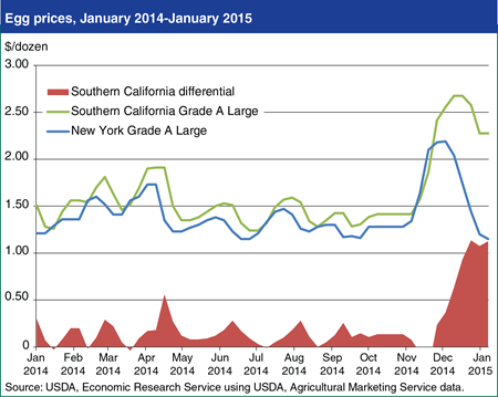 Editor's Pick 2015, #9:<br>New cage size regulations contribute to widening egg price gap