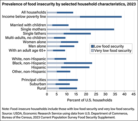 Food insecurity rates are highest for households with incomes below the poverty line and single-mother households