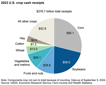 Corn, soybeans accounted for more than half of the U.S. crop cash receipts in 2023