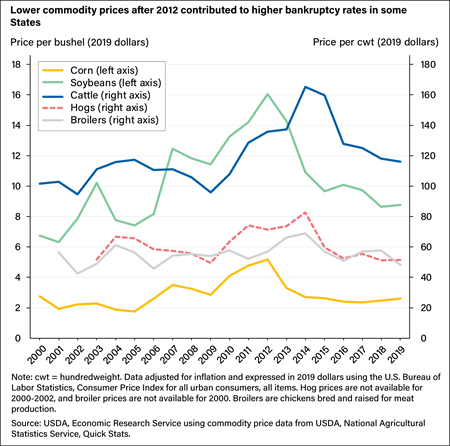 This is a line chart showing the price per bushel in 2019 dollars for corn and soybeans and the price per hundredweight for cattle, hogs, and broilers.