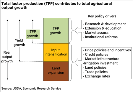 Graphic breaking out the key drivers of global agricultural output growth.