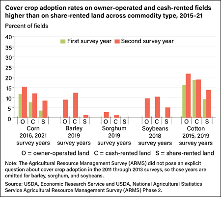 Bar chart comparing cover crop adoption rates for corn, barley, sorghum, soy, and cotton crops on owner-operated, cash-rented, and share-rented land in two survey years.