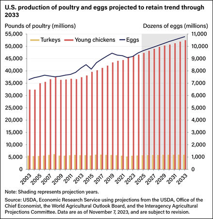 Bar and line chart showing millions of pounds of turkeys and young chickens and millions of dozens of eggs produced between 2003 projected through 2033.