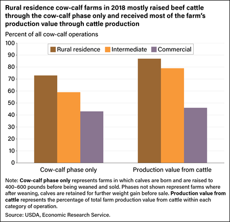 Bar chart showing percent shares of rural residence, intermediate, and commercial producers who raised beef cattle through the cow-calf phase only and the percentage of total farm production value within each category.