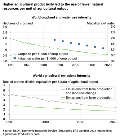 Two line charts. Top chart shows level of world cropland and water use intensity from 1960 to 2020; bottom chart shows world agricultural emissions intensity from 1990 to 2020.