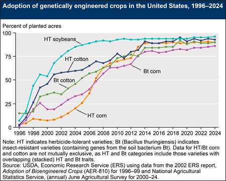 A line chart shows the adoption of genetically engineered corn, cotton, and soybeans from their introduction in 1996 to 2024.