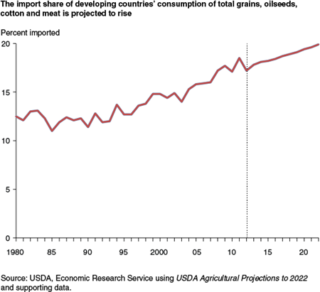 The import share of developing countries' consumption of grains, oilseeds, cotton and meat is projected to rise