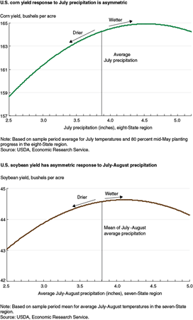 U.S. corn yield response to July precipitation is asymmetric