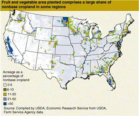 Fruit and vegetable area planted comprises a large share of nonbase cropland in some regions