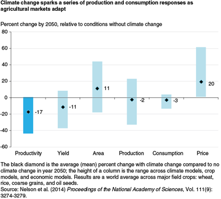 Climate change sparks a series of production and consumption responses as agricultural markets adapt