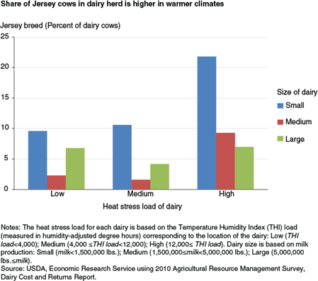 Share of Jersey cows in dairy herd is higher in warmer climates