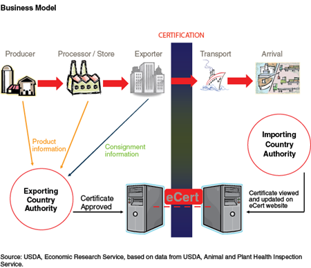 Business Model