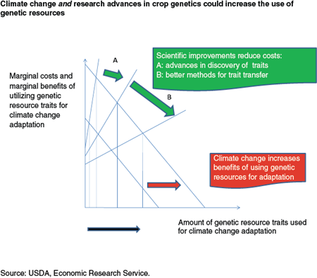 Climate change and research advances in crop genetics could increase the use of genetic resources