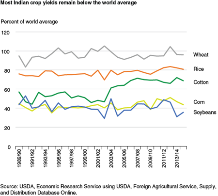 Most Indian crop yields remain below the world average