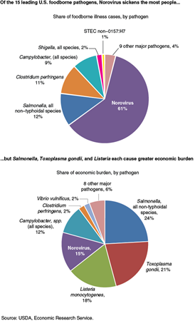 Of the 15 leading U.S. foodborne pathogens, Norovirus sickens the most people, but Salmonella, Toxoplasma gondii, and Listeria each cause greater economic burden