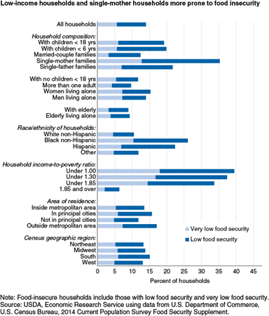 Low-income households and single-mother households more prone to food insecurity