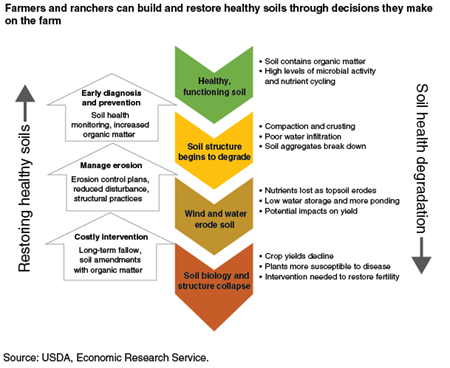 Farmers and ranchers can build and restore healthy soils through decisions they make on the farm