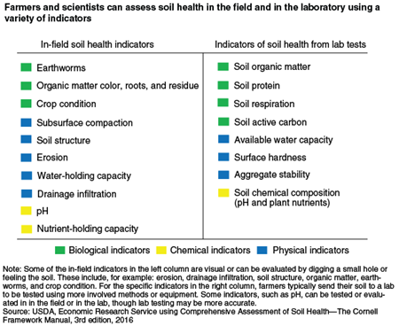 Farmers and scientists can assess soil health in the field and in the laboratory using a variety of indicators