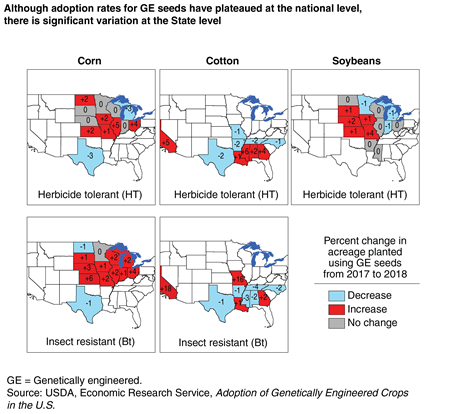 A chart shows that, although adoption rates for GE seeds have recently plateaued at the national level, there is significant variation at the State level.