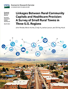 This is the cover image for the Linkages Between Rural Community Capitals and Healthcare Provision: A Survey of Small Rural Towns in Three U.S. Regions report.