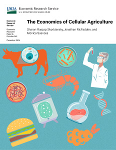 This is the cover image for the The Economics of Cellular Agriculture report.