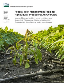 Photo of a dying soybean field